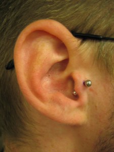 tragus(curved barbell)
